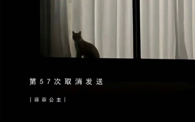第57次取消发送吉他谱-陆绮菲(菲菲公主)-G调原版弹唱六线谱