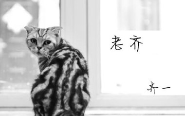 老齐吉他谱-齐一-E调原版弹唱谱-图片六线谱