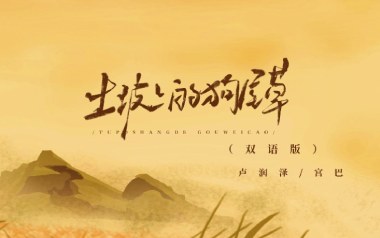 土坡上的狗尾草吉他谱-卢润泽-C调弹唱谱-图片六线谱