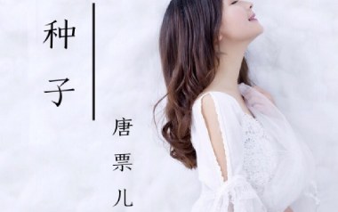 种子吉他谱-唐票儿-C调指法原版弹唱谱-图片六线谱
