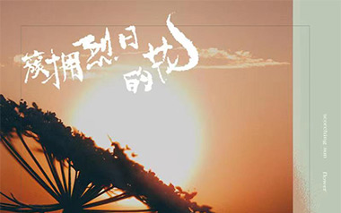 簇拥烈日的花吉他谱-迟里乌布/Morerare-C调-吉他弹唱教学