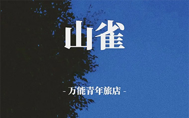 山雀吉他谱-万能青年旅店-C调吉他谱-吉他弹唱教学